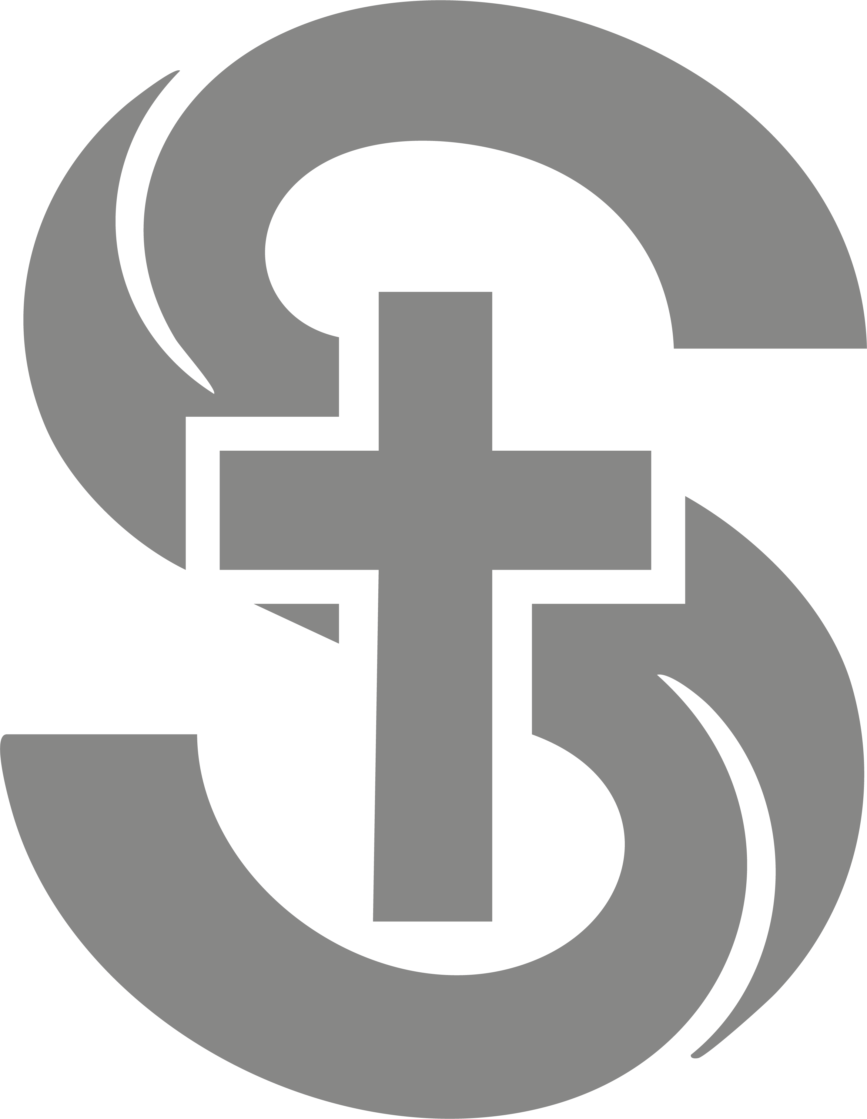 Logo da SAGA System